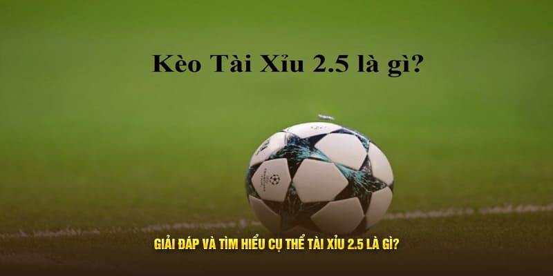 Giải đáp và tìm hiểu cụ thể tài xỉu 2.5 là gì?